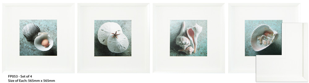 FP053 Wall décor art framed print set of 4 sea shells white frame